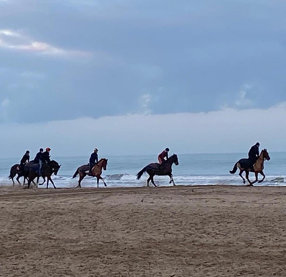 L'Escale à Deauville Extérieur photo